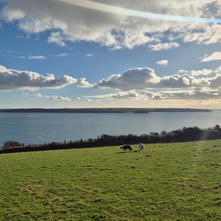 Coast Path Camping Saint Ishmaels  Exteriör bild