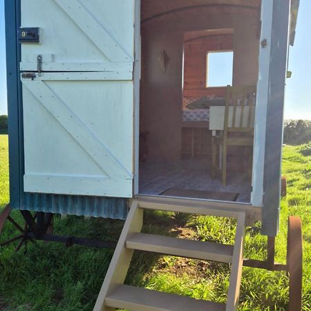 Coast Path Camping Saint Ishmaels  Exteriör bild