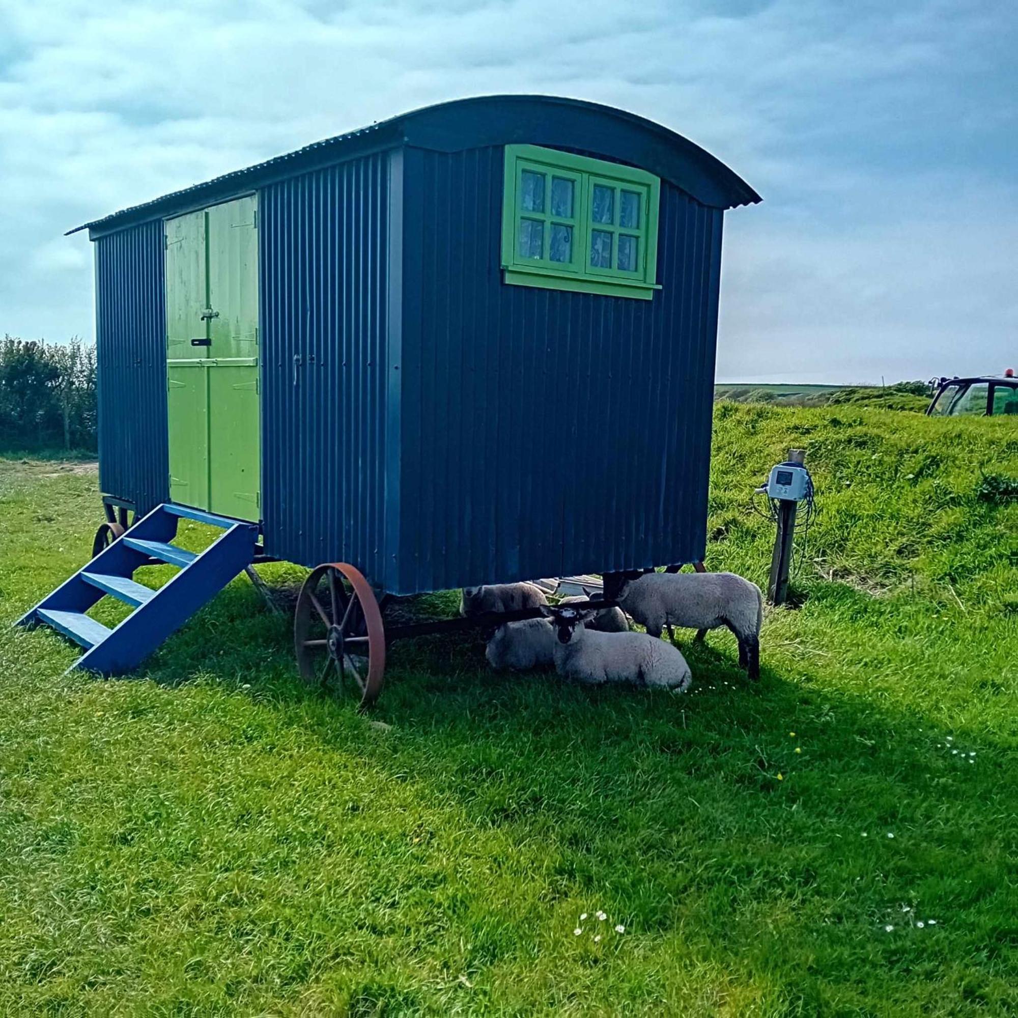 Coast Path Camping Saint Ishmaels  Exteriör bild