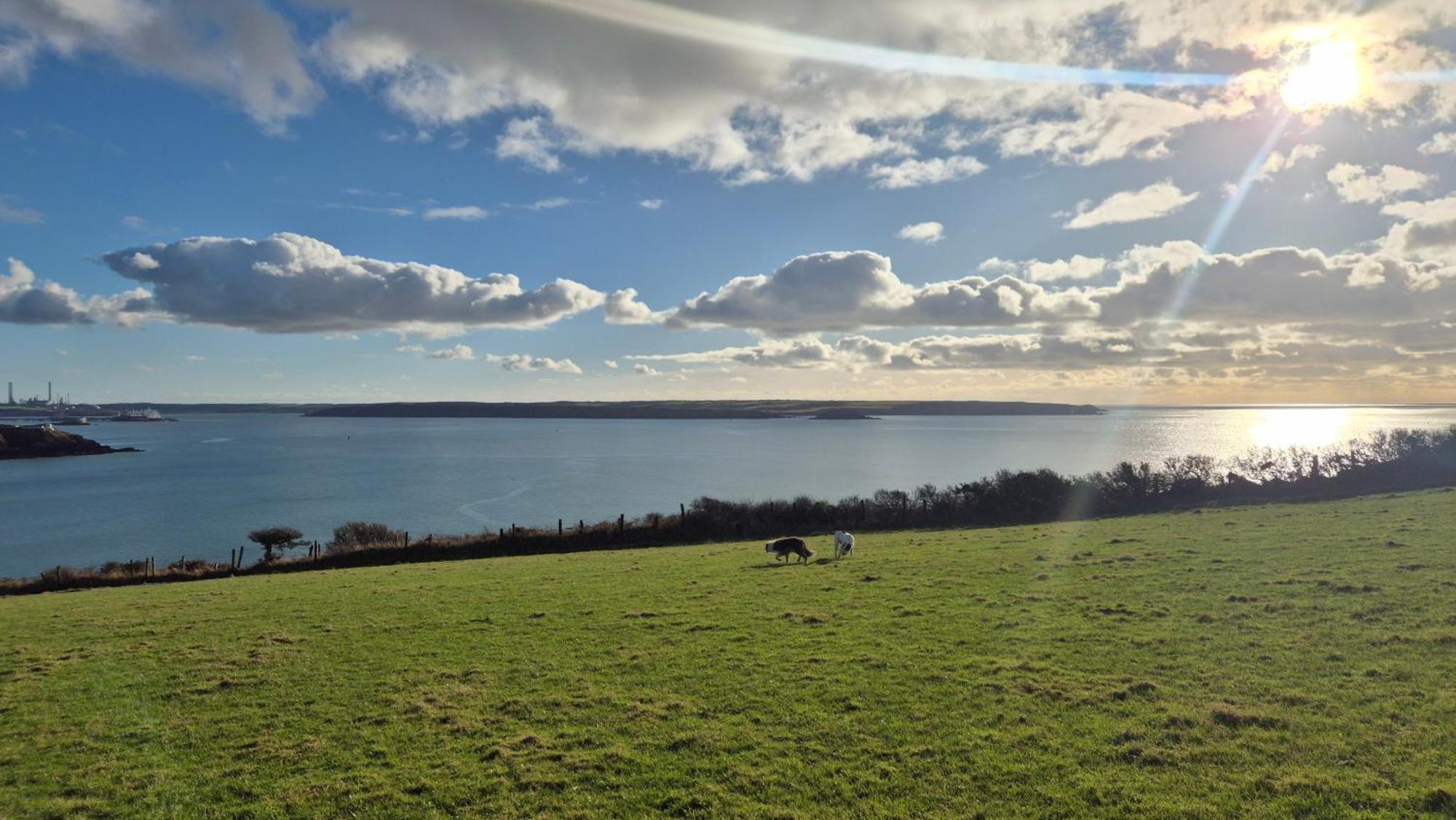 Coast Path Camping Saint Ishmaels  Exteriör bild